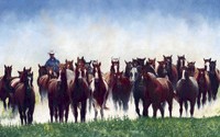 herd