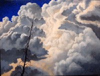 afterthestormlorisalisbury