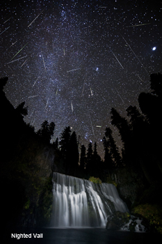 nightedvailbybradgoldpaint