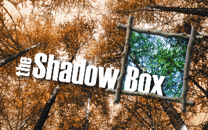 shadowbox