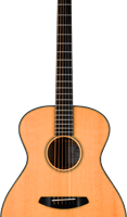Breedlove guitar small
