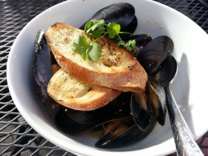 Cobalt_mussels