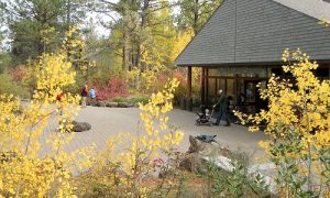 Tips and Strategies for Effective Charitable Giving @ High Desert Museum