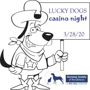 Lucky Dogs Casino Night @ Carey Foster Hall