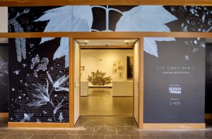 Exhibition Closing: In Time’s Hum: The Art and Science of Pollination @ High Desert Museum
