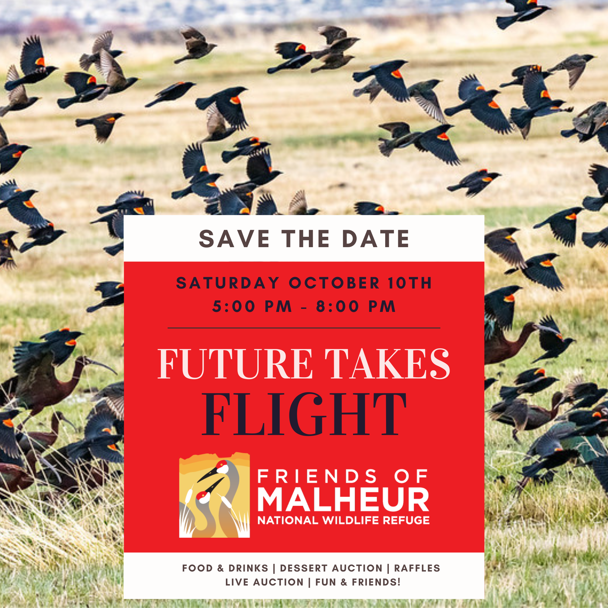 Future Takes Flight; An Evening with Friends